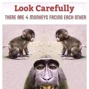 Meet your Posher, Paul